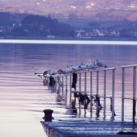 The Oystercatcher Lodge Carlingford Εξωτερικό φωτογραφία